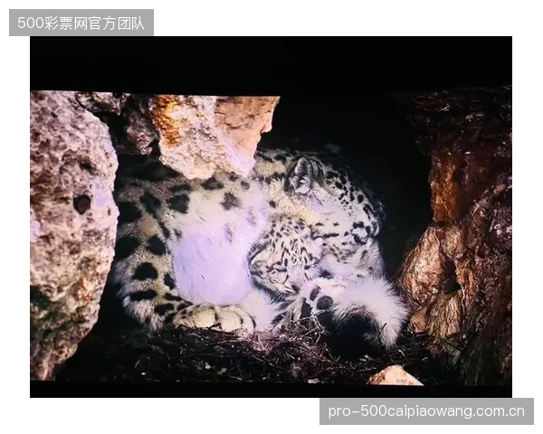 哈基米的速度优势在墨西哥城面临挑战，其突破节奏需适应高原空气阻力的变化。